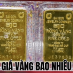 Anh Thumb bai viet 2 min2 1