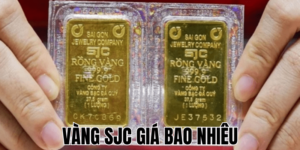 Anh Thumb bai viet 7 min1